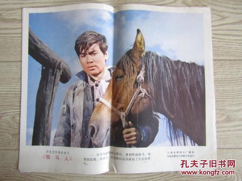 提赛德大学文凭办理